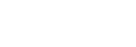 light logo